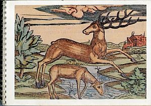 Lykion Ton Hellinidon London, Diary 1988, Engraving of Cyprus.